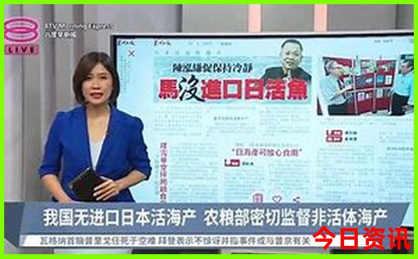 澳门有多大